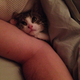 he used to be the smollest of oll